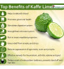 kaffir Lime - সাতকরা